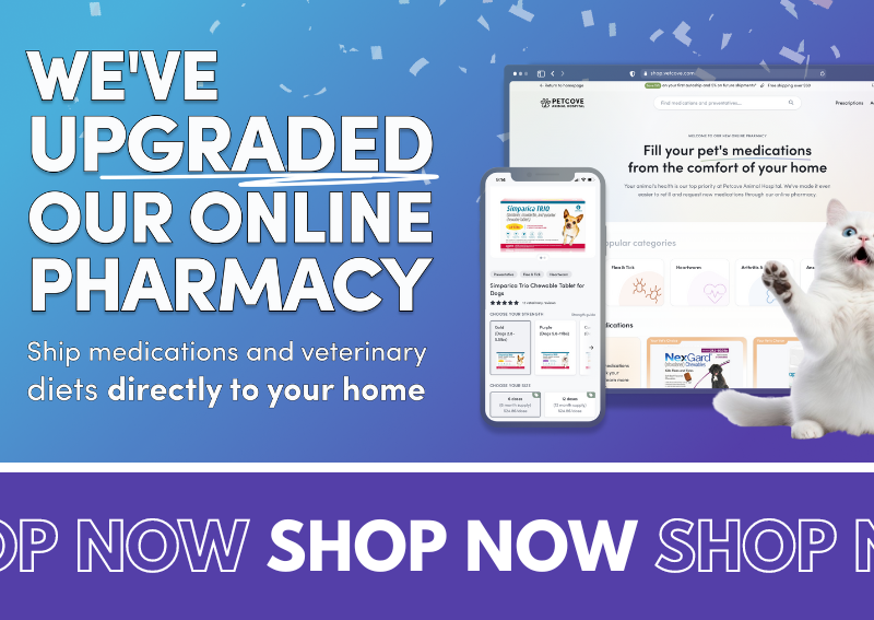 Carousel Slide 1: Browse our new online pet pharmacy!