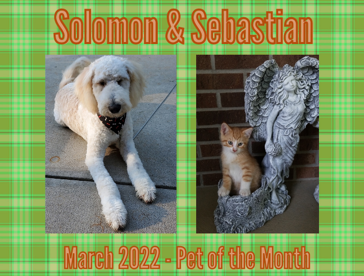 March's Pet of the Month