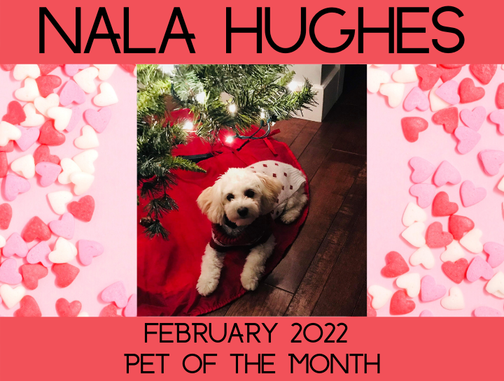 February's Pet of the Month