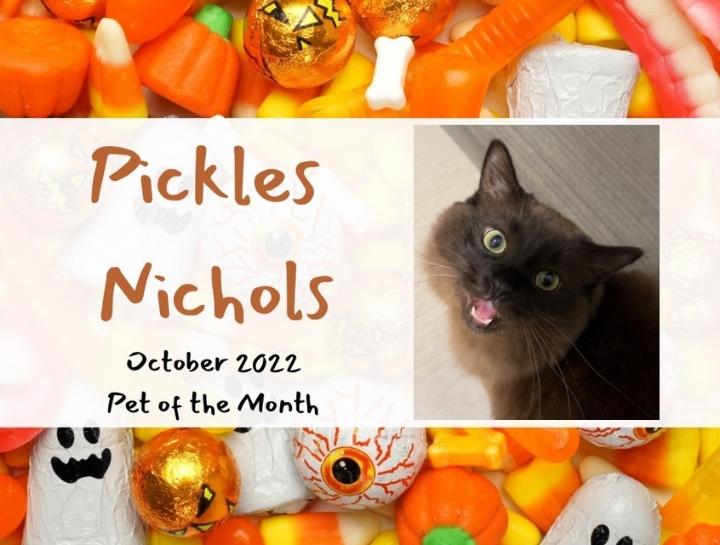 October's Pet of the Month