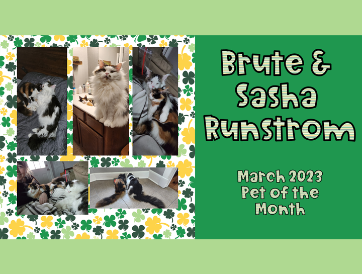 March 2022 Pet of the Month